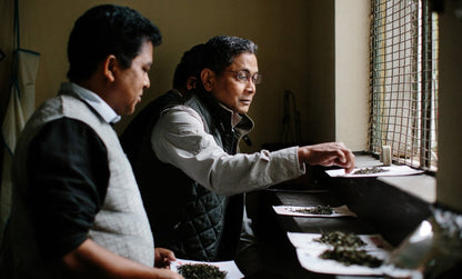 Darjeeling First Flush Tea Retreat 2027