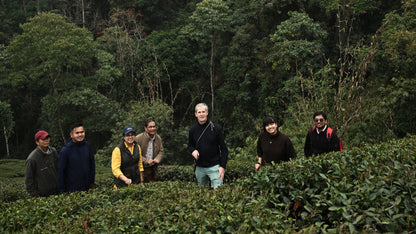 Darjeeling First Flush Tea Retreat 2027
