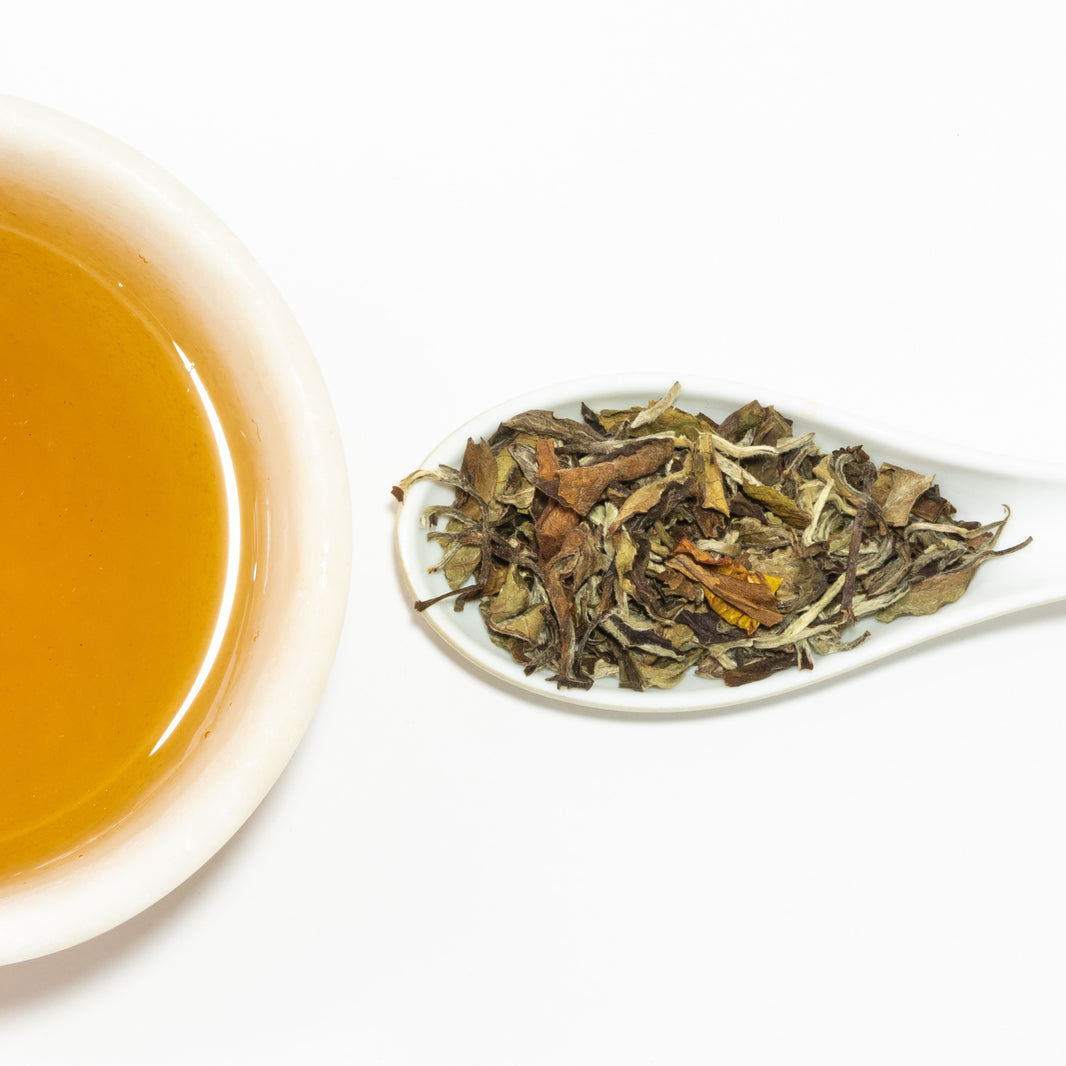 TEA2YOU Tea Shop in London | Premium Tea & Matcha – Tea2You